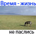 Аватар для Загул