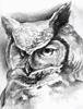 Аватар для Алексей(Uhu_72)